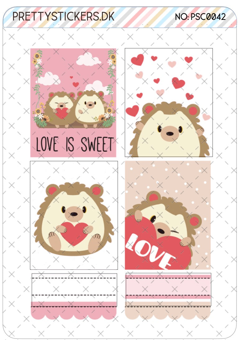 Hedgehog 1  - PSC0042