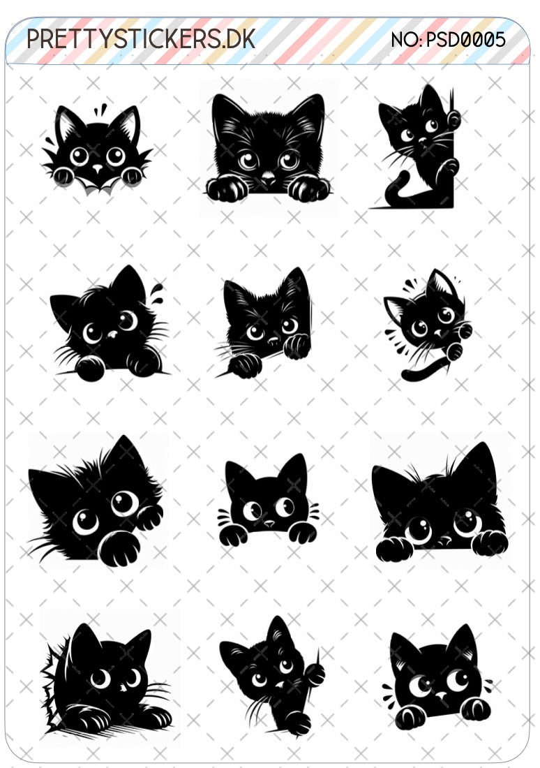 Black Cat - PSD0005